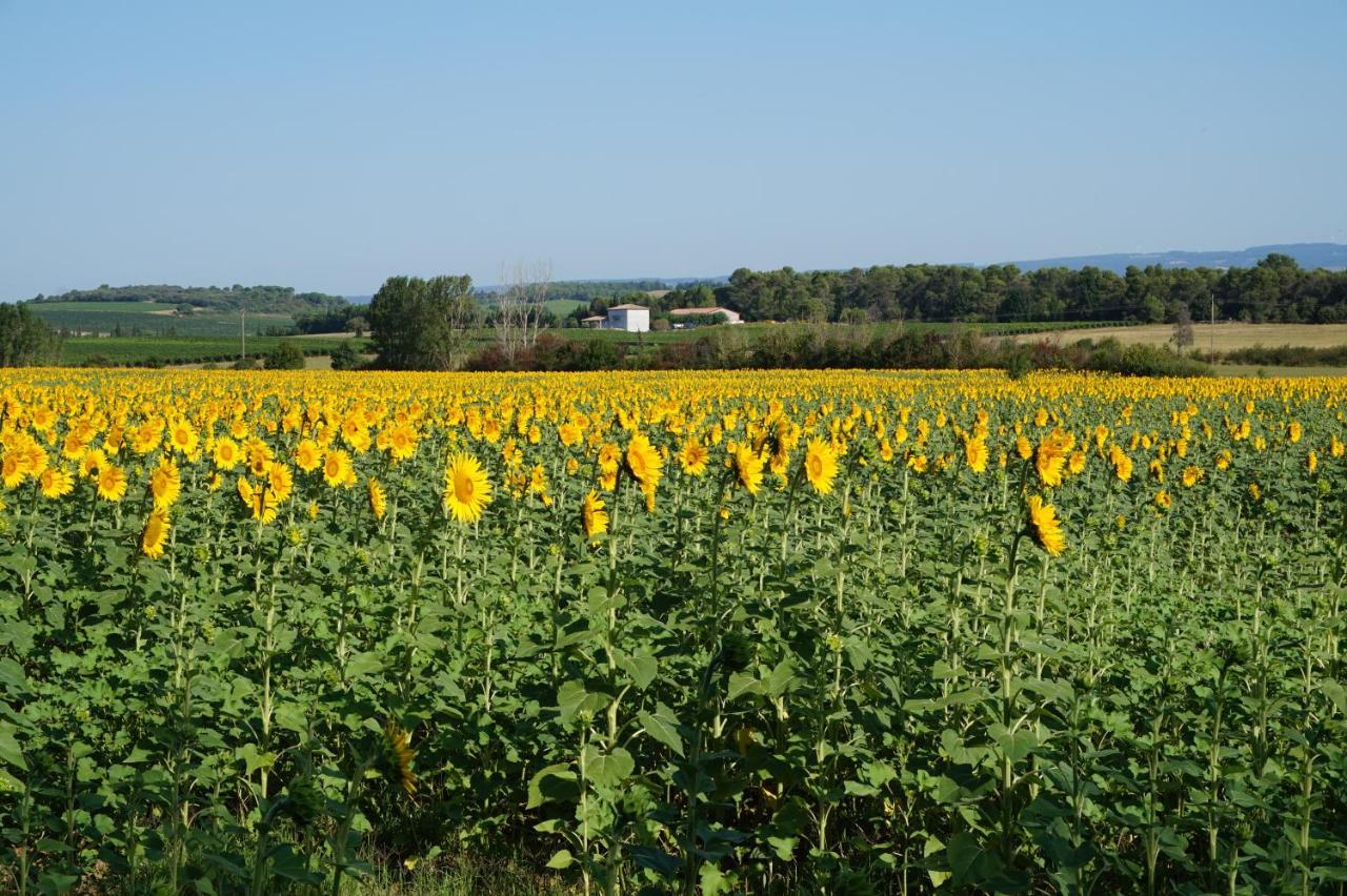 Le Clos Des Troubadours Pennautier Buitenkant foto