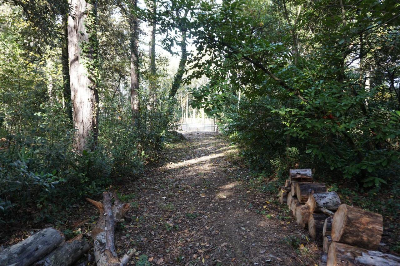 Le Clos Des Troubadours Pennautier Buitenkant foto