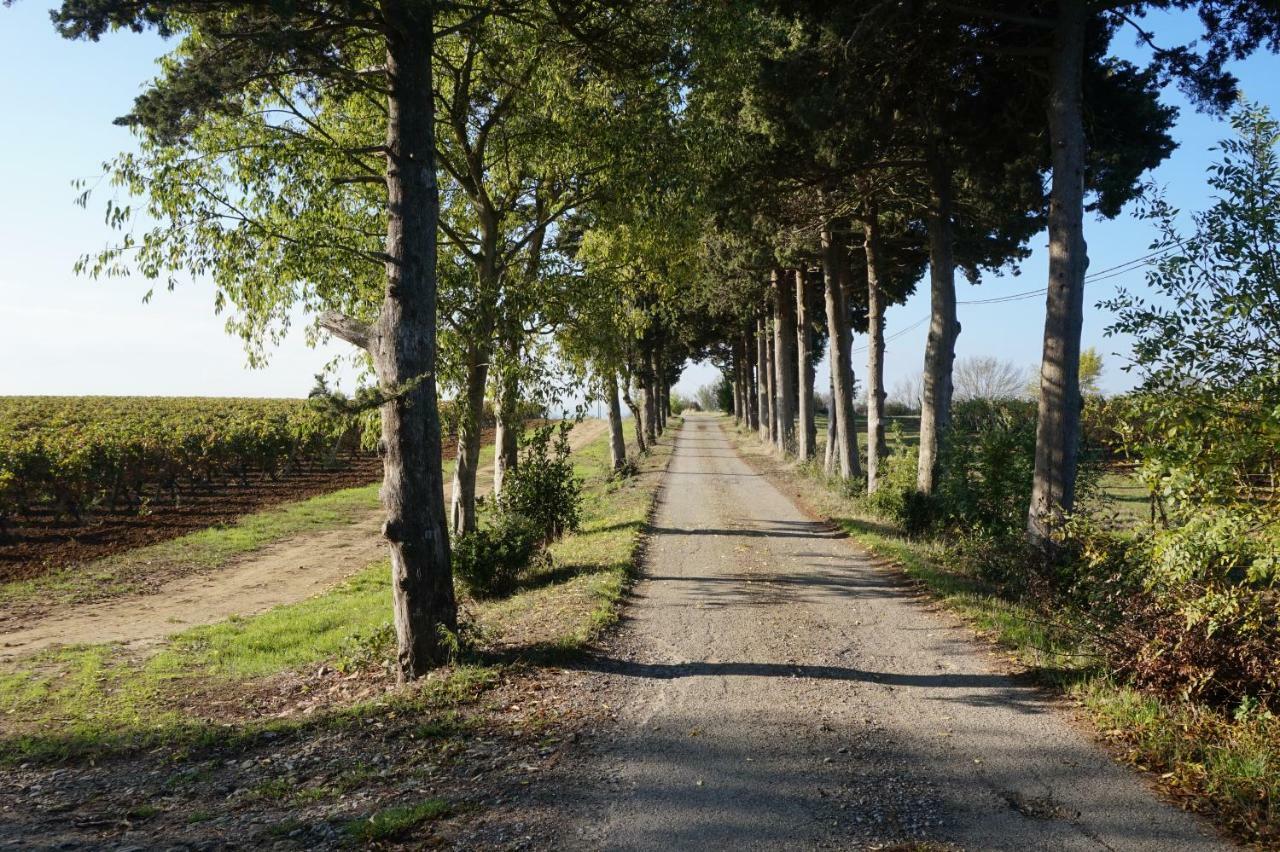 Le Clos Des Troubadours Pennautier Buitenkant foto